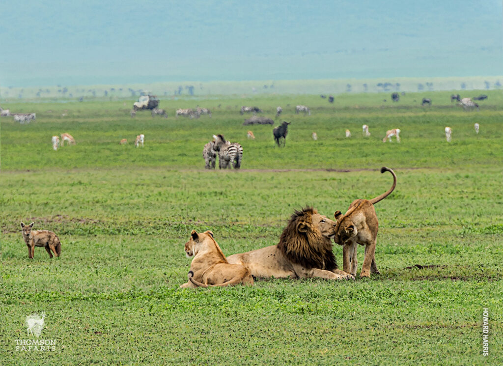 2NIGHTS/3DAYS TARANGIRE AND NGORONGORO CRATER