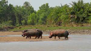 Saadan National Park